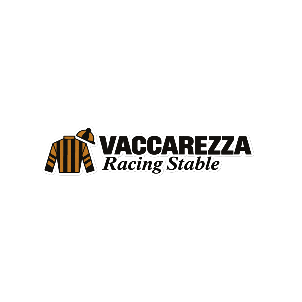 Bumper Sticker in White